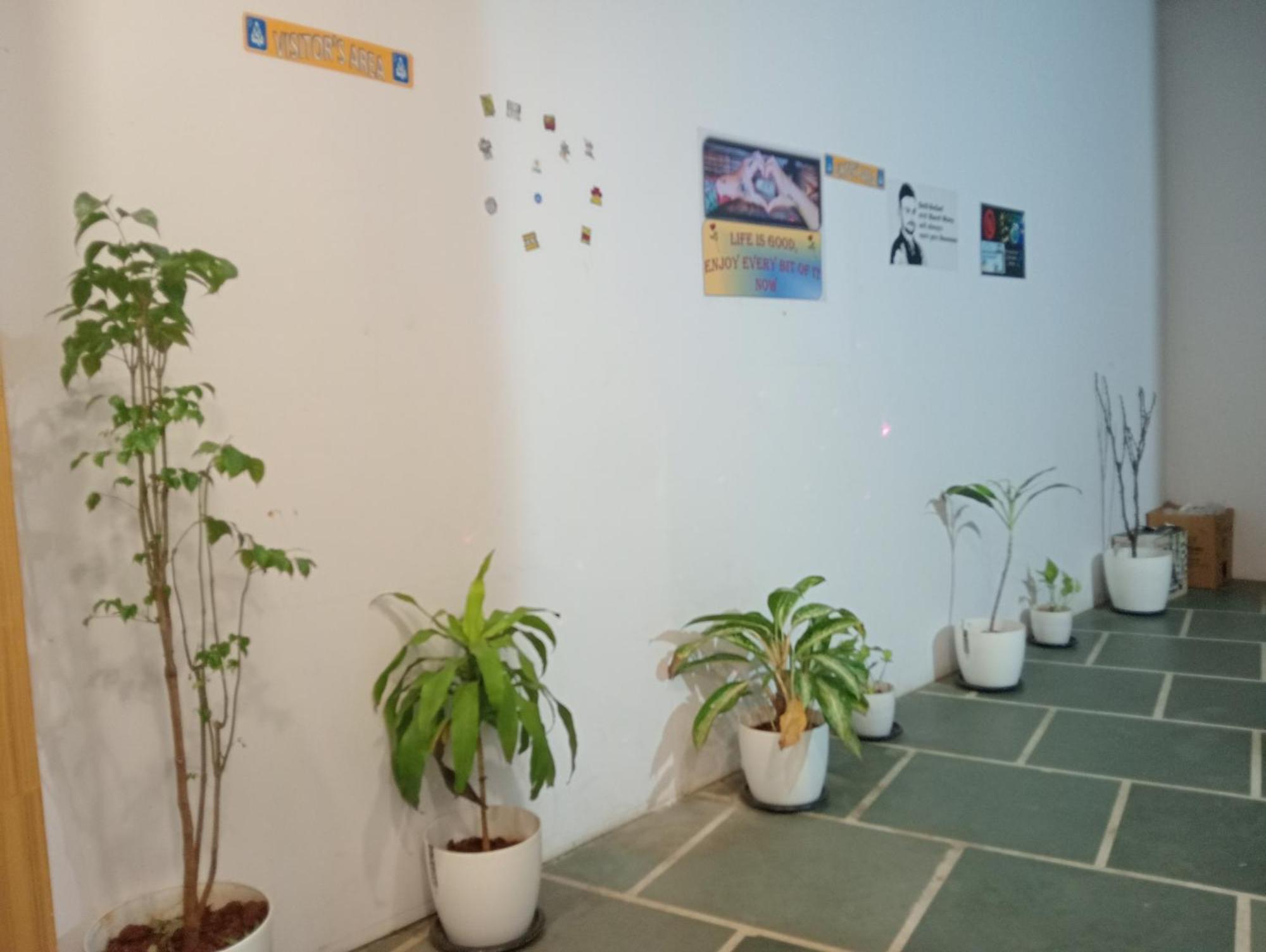 गेस्ट हाउस Arts International Mumbai